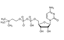 Citicoline Monosodium Salt molecular structure