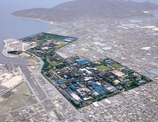 Hofu Plant